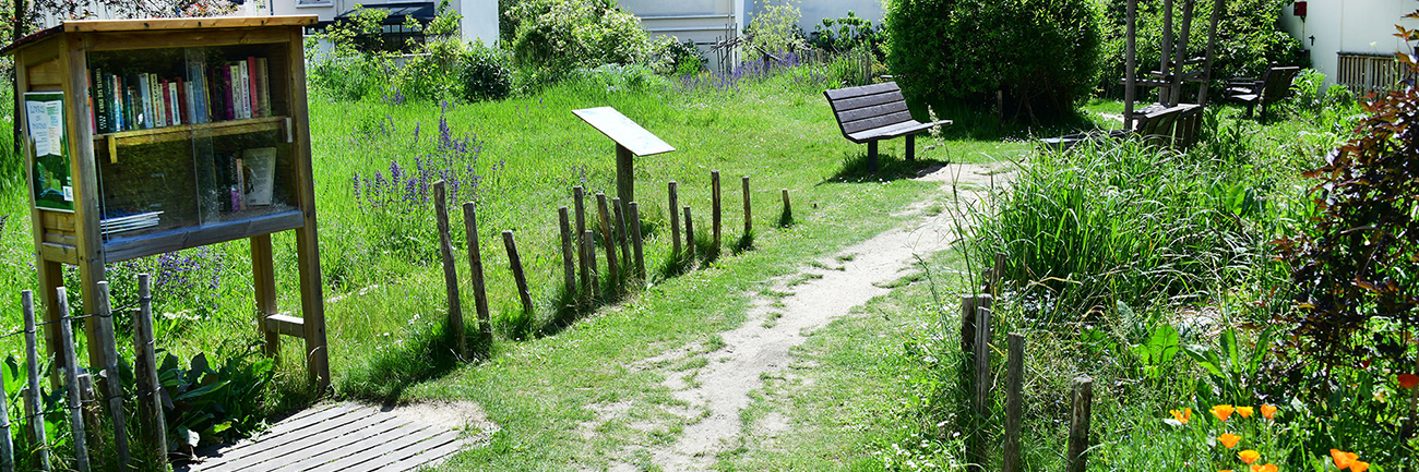 Image illustratrice de l'article