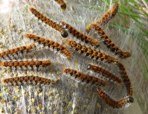 Image illustratrice de l'article