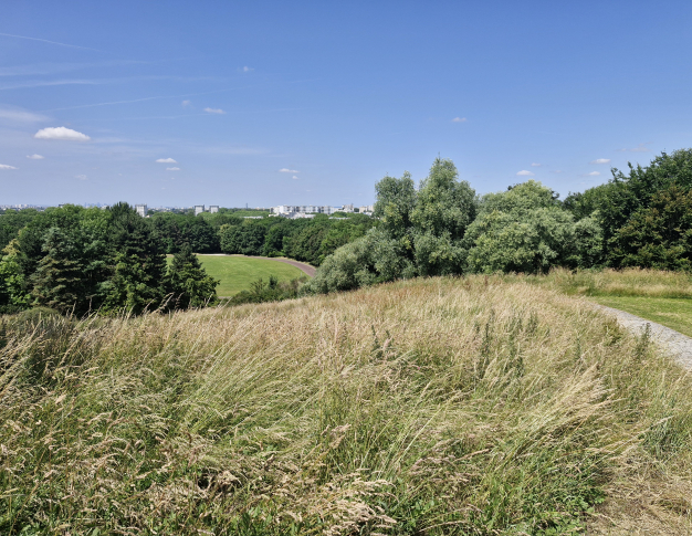 Parc de Montceleux de la commune de Sevran – Inventaire de biodiversité réalisé en 2025 par Fredon Ile de France